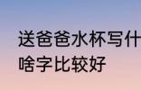 送爸爸水杯写什么字好 送爸爸水杯写啥字比较好