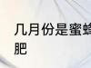 几月份是蜜蜂最肥 哪个月份的蜜蜂最肥