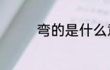 弯的是什么意思 弯的含义