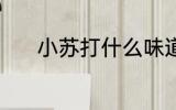 小苏打什么味道 小苏打的味道