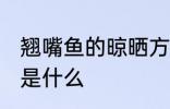 翘嘴鱼的晾晒方法 翘嘴鱼的晾晒方法是什么