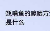 翘嘴鱼的晾晒方法 翘嘴鱼的晾晒方法是什么