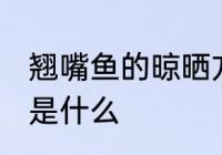 翘嘴鱼的晾晒方法 翘嘴鱼的晾晒方法是什么