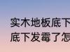 实木地板底下发霉了怎么办 实木地板底下发霉了怎么处理