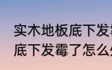 实木地板底下发霉了怎么办 实木地板底下发霉了怎么处理